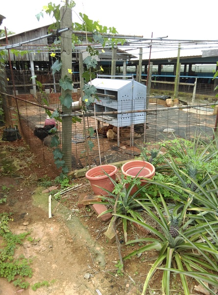 青宏畜牧場:南投八卦山青宏畜牧場無菜單料理**一人200吃到飽**