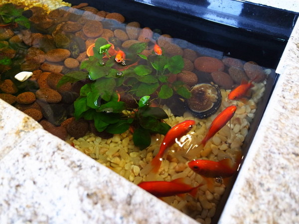 皇璽北海道昆布鍋(中和連城店):<台北|中和>頂級大份量肉品~三隻大牛&牛小排鍋~皇璽北海道昆布鍋(內有優惠資訊)