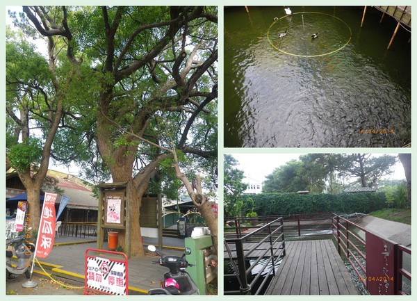 台灣糖業月眉糖廠(冷飲部):懷古˙念舊˙全台唯一囪底隧道˙有探險的fu