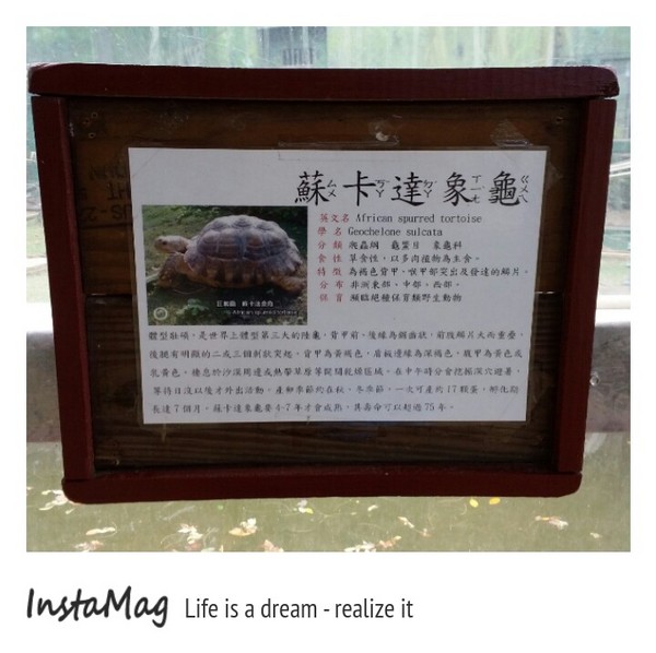 新竹市立動物園:【新竹景點】新竹市立動物園