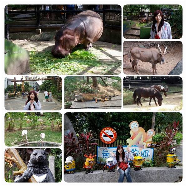 新竹市立動物園:【新竹景點】新竹市立動物園
