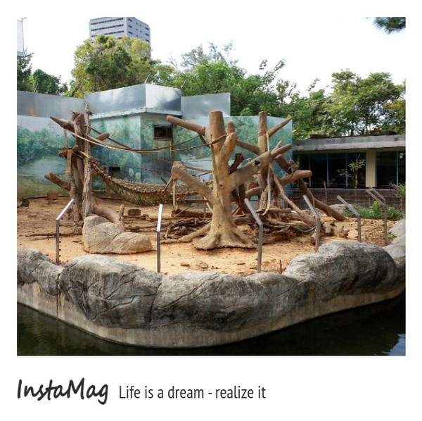 新竹市立動物園:【新竹景點】新竹市立動物園