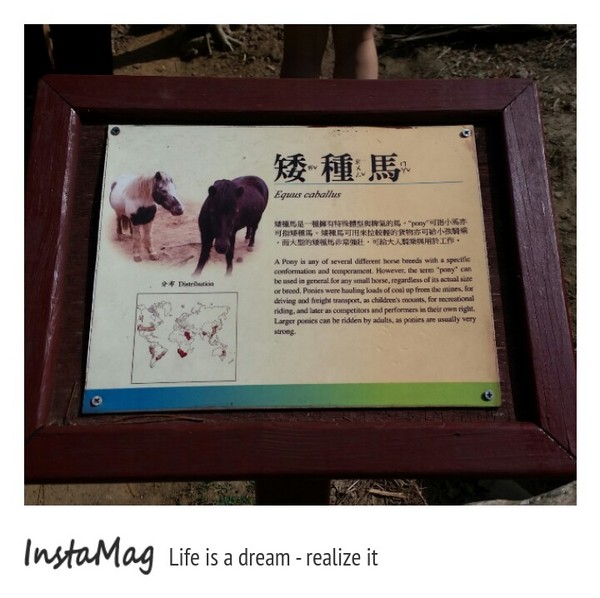 新竹市立動物園:【新竹景點】新竹市立動物園