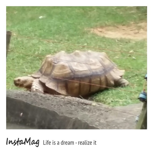 新竹市立動物園:【新竹景點】新竹市立動物園