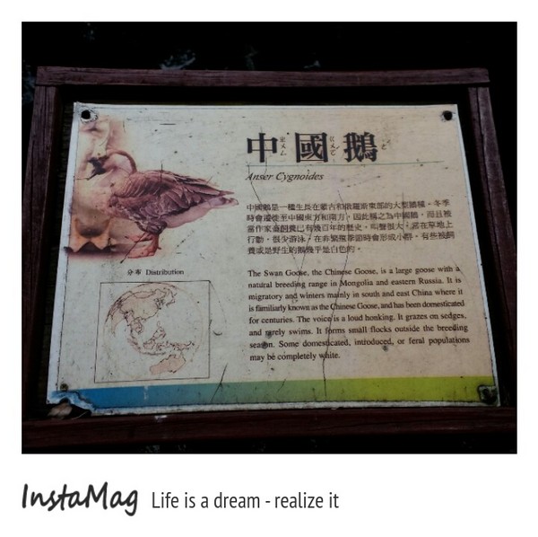 新竹市立動物園:【新竹景點】新竹市立動物園