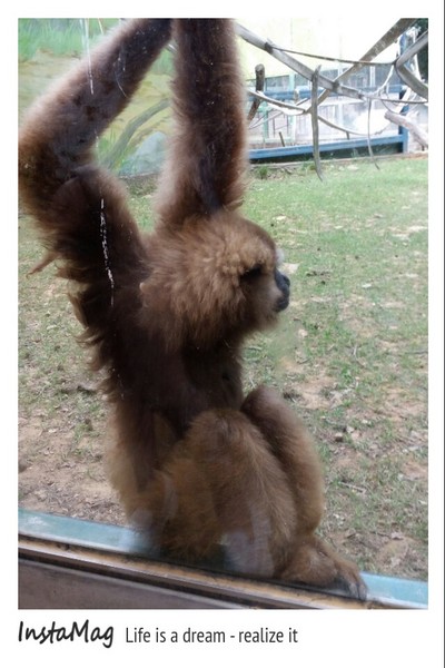 新竹市立動物園:【新竹景點】新竹市立動物園