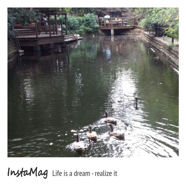 新竹市立動物園:【新竹景點】新竹市立動物園