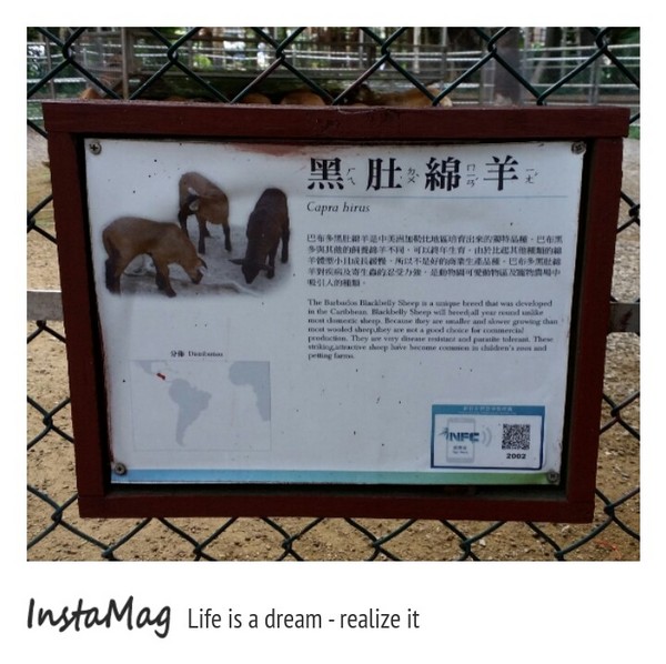 新竹市立動物園:【新竹景點】新竹市立動物園