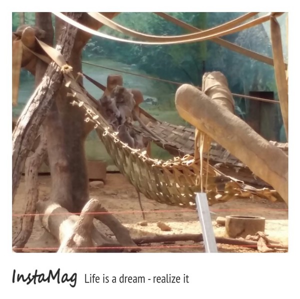 新竹市立動物園:【新竹景點】新竹市立動物園