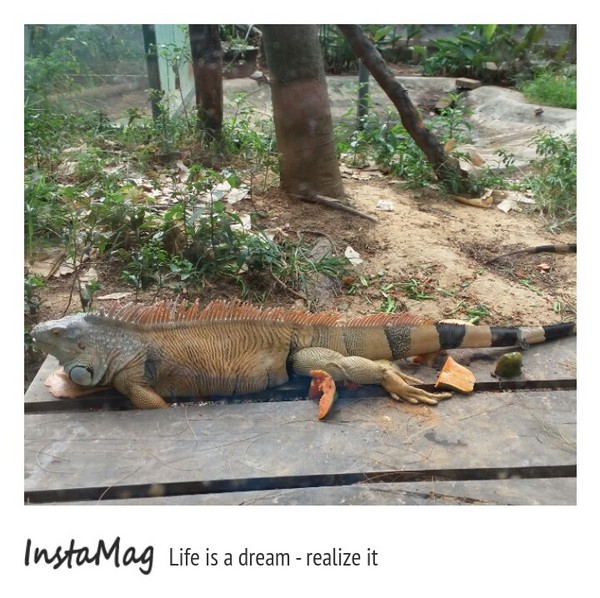 新竹市立動物園:【新竹景點】新竹市立動物園