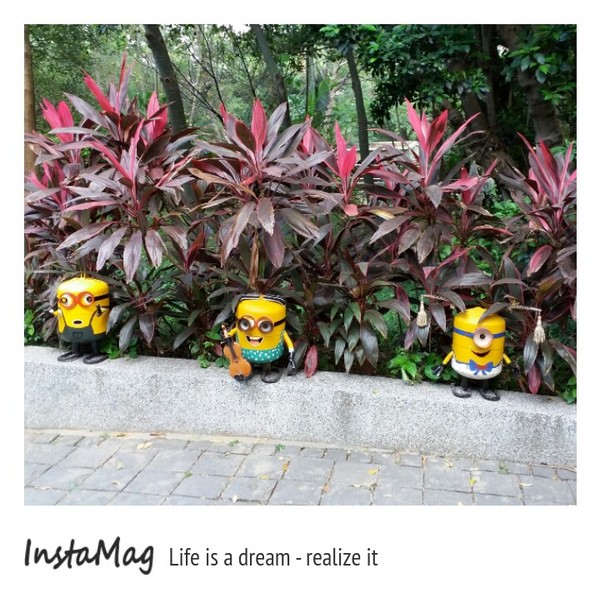 新竹市立動物園:【新竹景點】新竹市立動物園