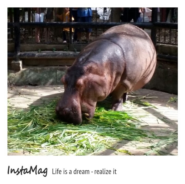 新竹市立動物園:【新竹景點】新竹市立動物園