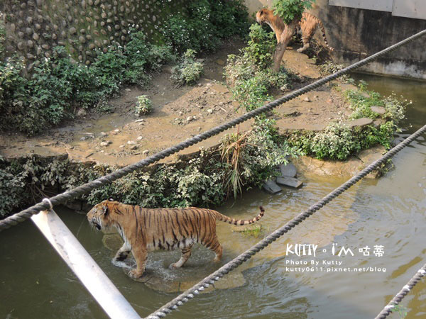 2016-5-2動物園 (13).jpg
