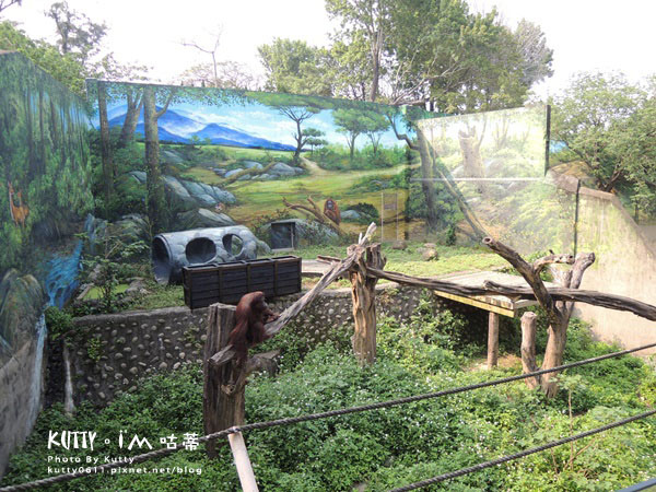 2016-5-2動物園 (11).jpg