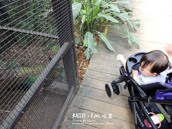 2016-5-2動物園 (9).jpg