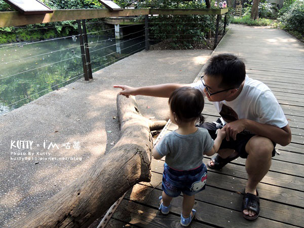 2016-5-2動物園 (7).jpg