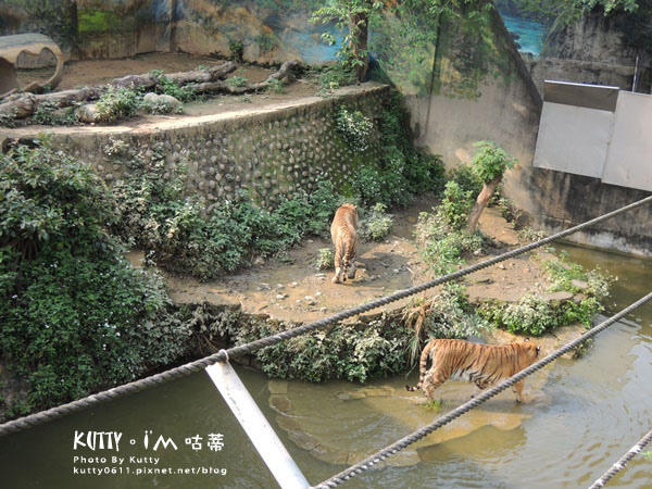2016-5-2動物園 (12).jpg