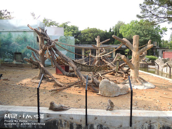 2016-5-2動物園 (21).jpg