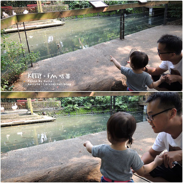 2016-5-2動物園 (8).jpg