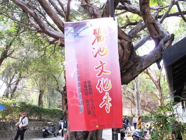 新竹市立動物園,新竹賞櫻,麗池文化祭,春節親子景點_23