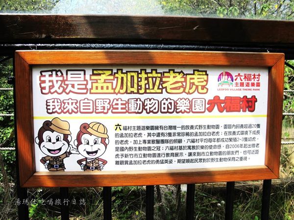 新竹市立動物園,新竹賞櫻,麗池文化祭,春節親子景點_21