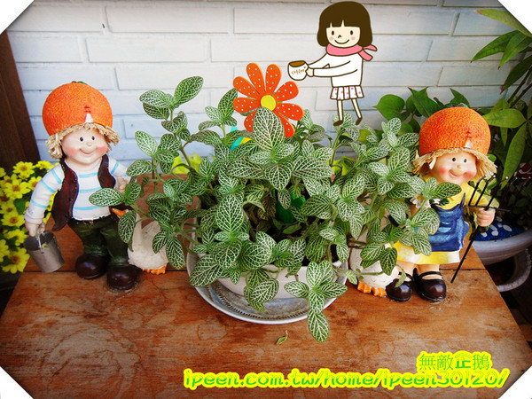 老樣子 法式薄餅：【台南】甜點吃再多也不怕~《老樣子 法式薄餅》