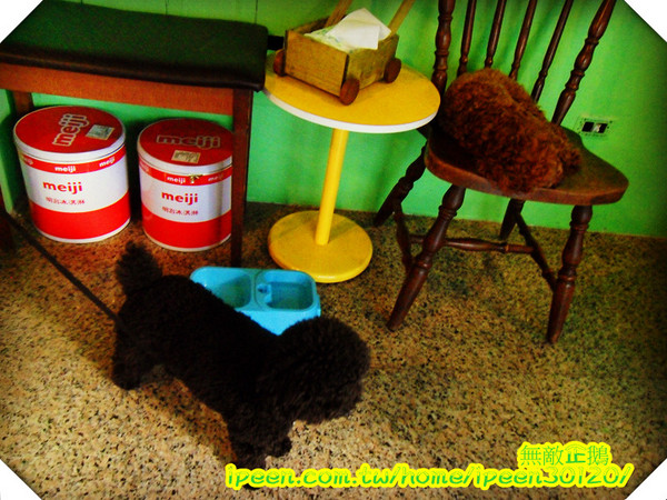 老樣子 法式薄餅：【台南】甜點吃再多也不怕~《老樣子 法式薄餅》