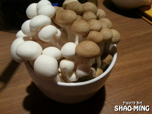 畏公長生麻辣鍋:(松山)香濃溫辣、誘人美味『畏公長生麻辣鍋』超美味完美麻辣鍋