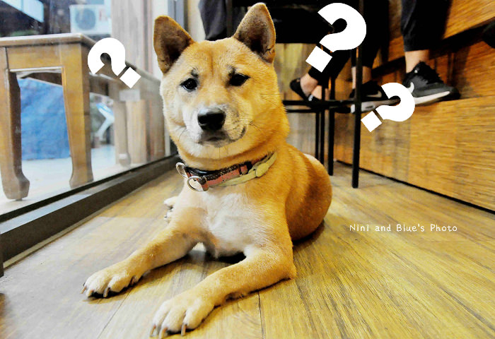 台中火鍋養鍋02