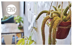 日安小砌手作食堂-26