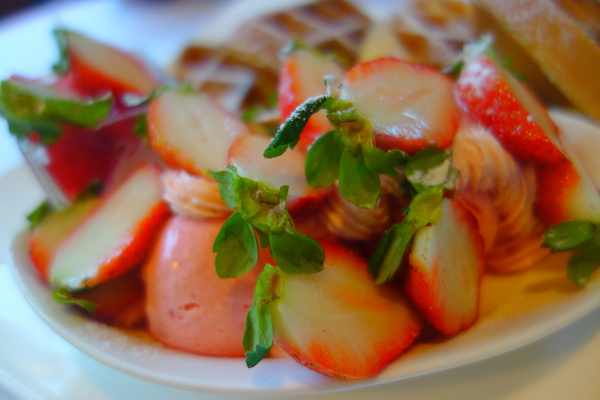 左岸巴黎香草人文咖啡館：1031220[官本金文愛台灣]台中市北屯區二訪左岸巴黎香草人文咖啡館美味下午茶鬆餅輕鬆悠閒過週末