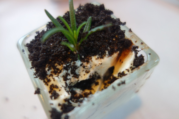 左岸巴黎香草人文咖啡館：1031220[官本金文愛台灣]台中市北屯區二訪左岸巴黎香草人文咖啡館美味下午茶鬆餅輕鬆悠閒過週末