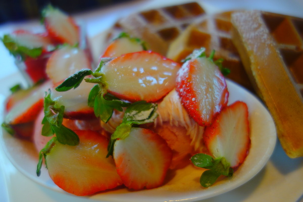 左岸巴黎香草人文咖啡館：1031220[官本金文愛台灣]台中市北屯區二訪左岸巴黎香草人文咖啡館美味下午茶鬆餅輕鬆悠閒過週末