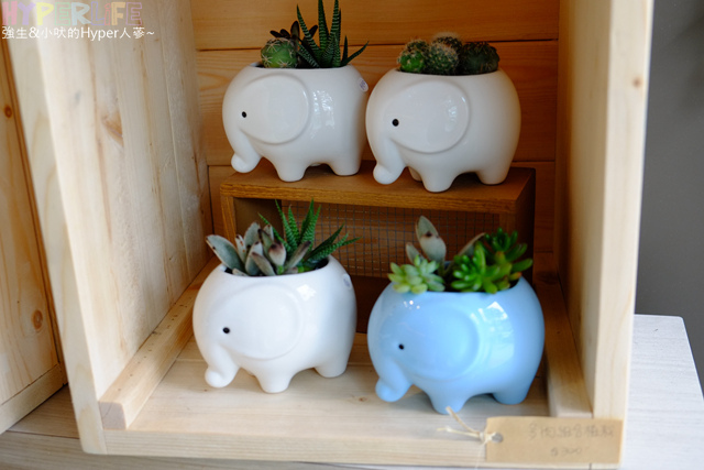 2014.05 台中北屯左岸巴黎