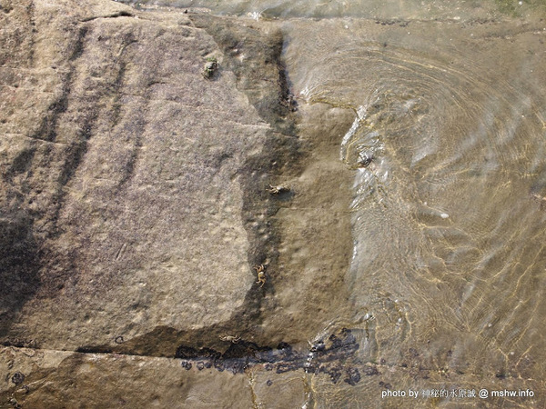 NEOSOHO 萬邦個旅商務：【景點】台北NEOSOHO Taiwan 萬邦個旅商務中心@中正捷運MRT台北車站 : 區位便捷完善,環境舒服乾淨,適合短暫休憩與包車旅遊的膠囊旅館進化版!