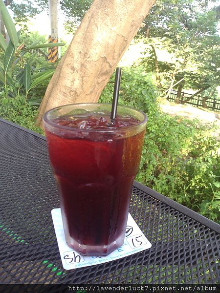 媽媽嘴咖啡(淡水樂活店)：♥淡水媽媽嘴咖啡-隱身樹林的幽靜