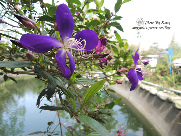 2014-3-22大嬸婆窯烤pizza (35).jpg