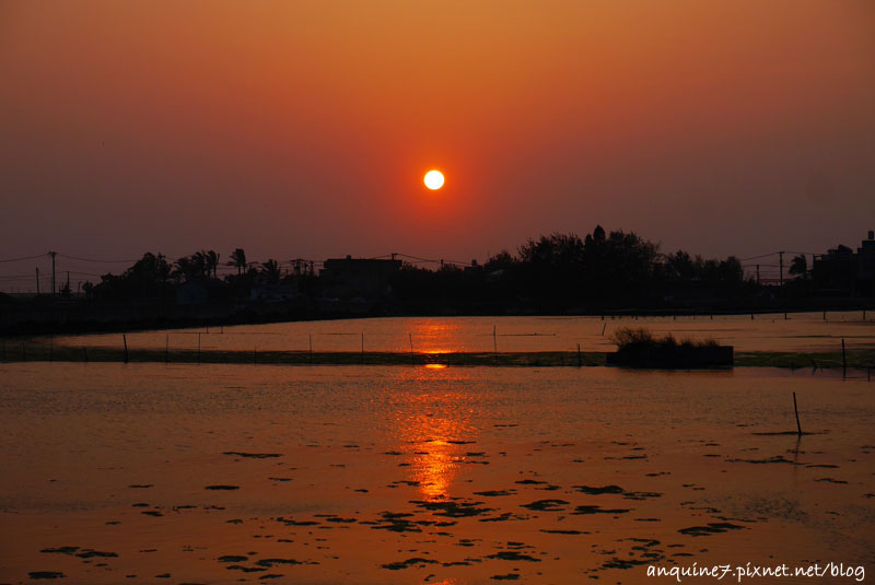 廖西瓜＠雲林口湖鄉成龍集會所成龍溼地49