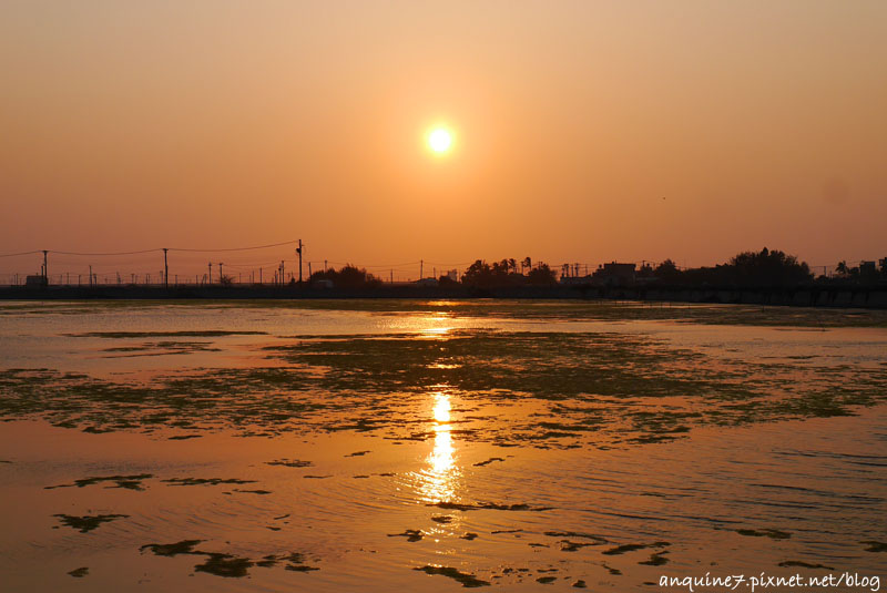 廖西瓜＠雲林口湖鄉成龍集會所成龍溼地42