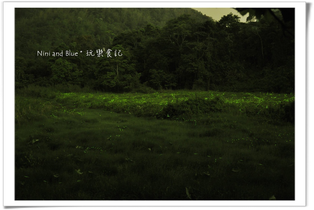 草湳螢火蟲07.jpg