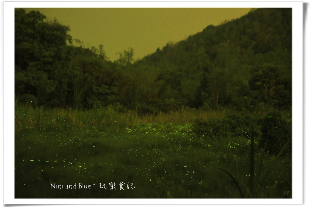 草湳螢火蟲12.jpg