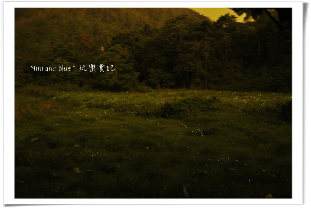 草湳螢火蟲06.jpg