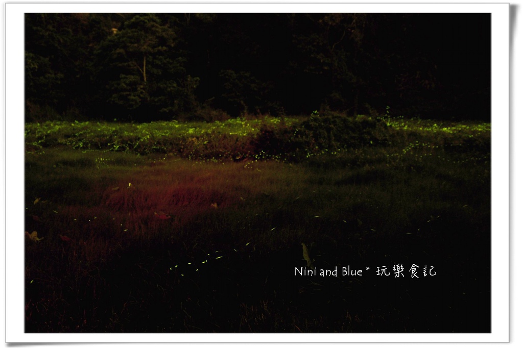 草湳螢火蟲05.jpg