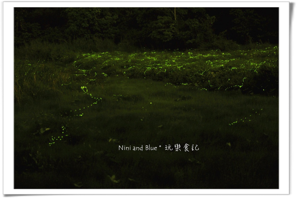 草湳螢火蟲08.jpg