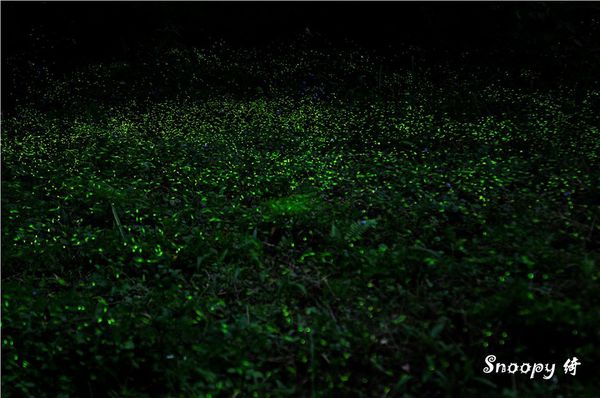 984059_10201046892494915_8628192242576072268_n