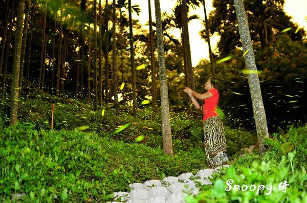 1907285_10201073394077438_4149802626277685396_n