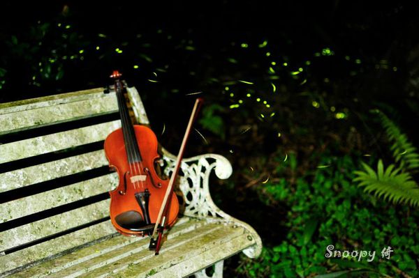 10154525_10201062106635259_5524251431022824871_n