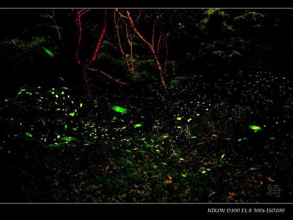 398331_2627692512000_1371845191_n