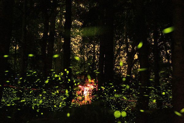 10155490_699492676780501_5017208436061642552_n