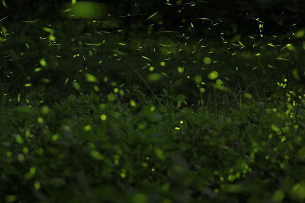 10251904_10151969481335957_5182470421827724416_n